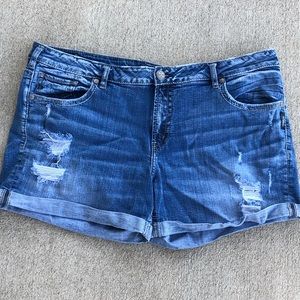 Silver Jeans | Boyfriend Mid Short | Plus Size 24